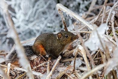 重磅更新！《一起开火车2》迎来全新地图与联动船员，《Among Us》角色同步登列