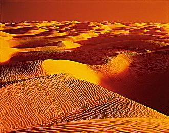 激动人心的“战地时刻”《战地风云2042》逐步更新即将到来