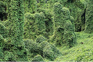 《恐惧的饥饿》升级档预告片 医生职业加入战局